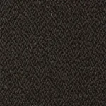 bokara grey